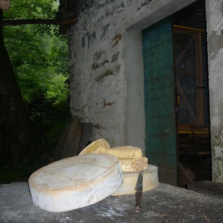Da Erminia Bed & Breakfast Verdabbio Exterior photo