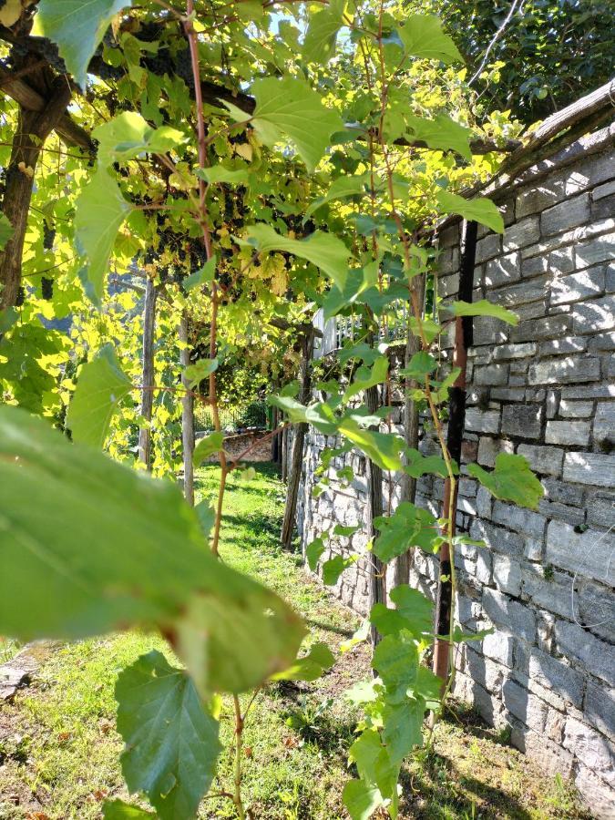 Da Erminia Bed & Breakfast Verdabbio Exterior photo